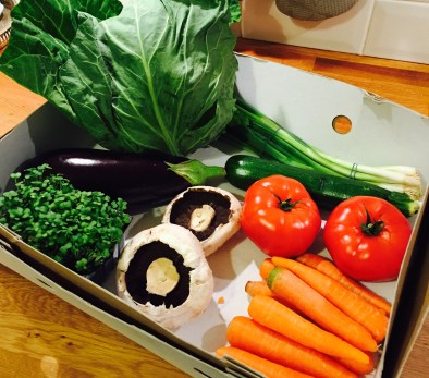 Aubergine Courgette Curry Veg Box